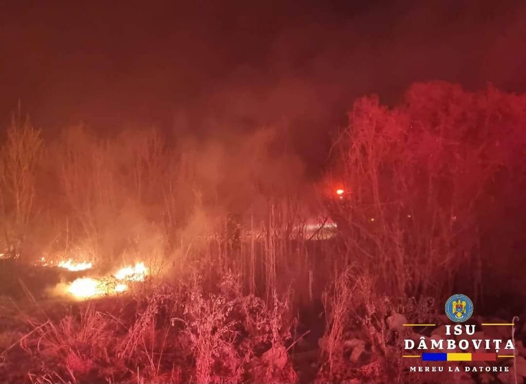 ISU DÂMBOVIȚA
